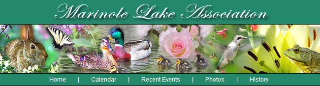 Click to visit our website